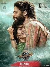 Thandel [Hindi]