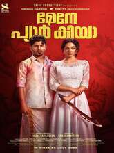 Maine Pyar Kiya (2025) Malayalam
