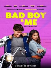 The Bad Boy and Me (2024) [Tam + Tel + Hin + Eng]