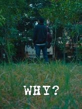 Why? (2022) Telugu