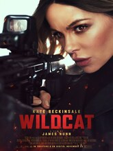 Wildcat (2025) [Tam + Tel + Hin + Eng]