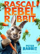 Peter Rabbit (2018) [Tam + Tel + Hin + Eng]