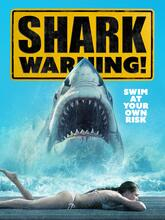 Shark Warning (2024) [Tam + Hin + Eng]