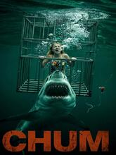 Chum (2026) [Tam + Tel + Hin + Eng]